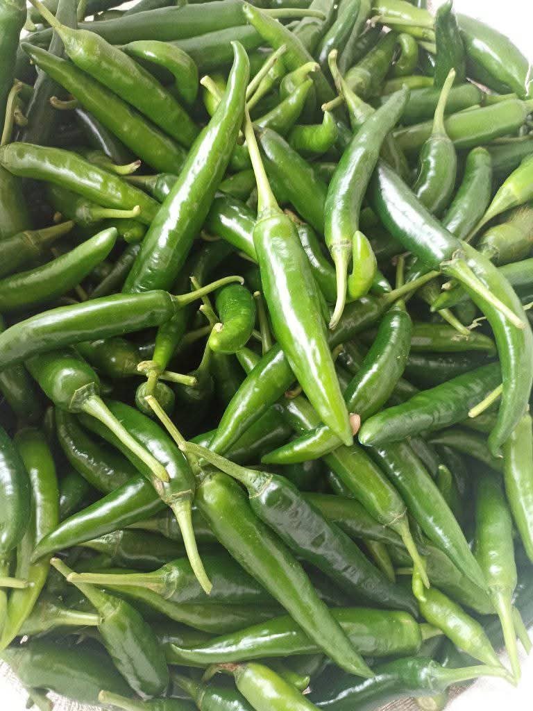 Cabe Hijau Besar