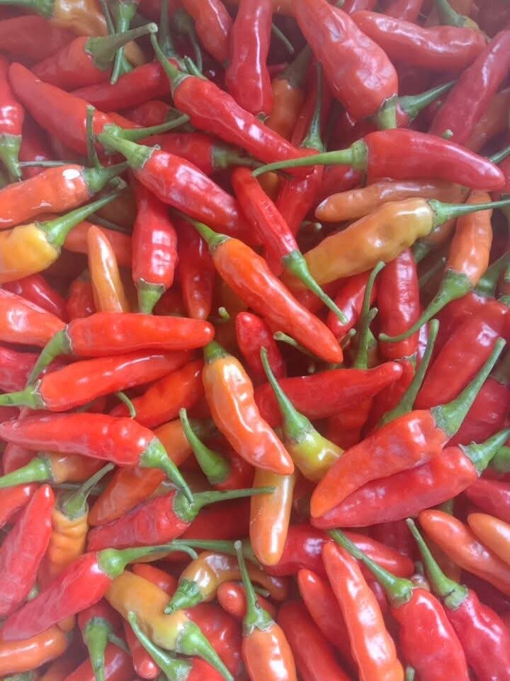 Cabe Ori