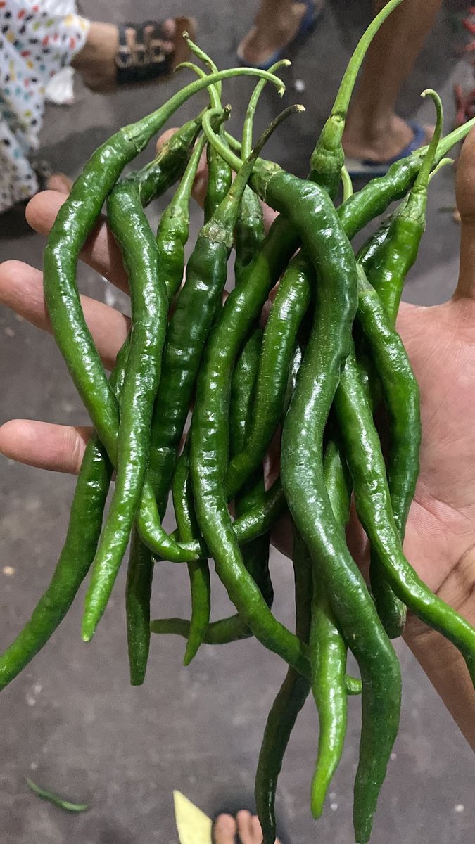 Cabe Well